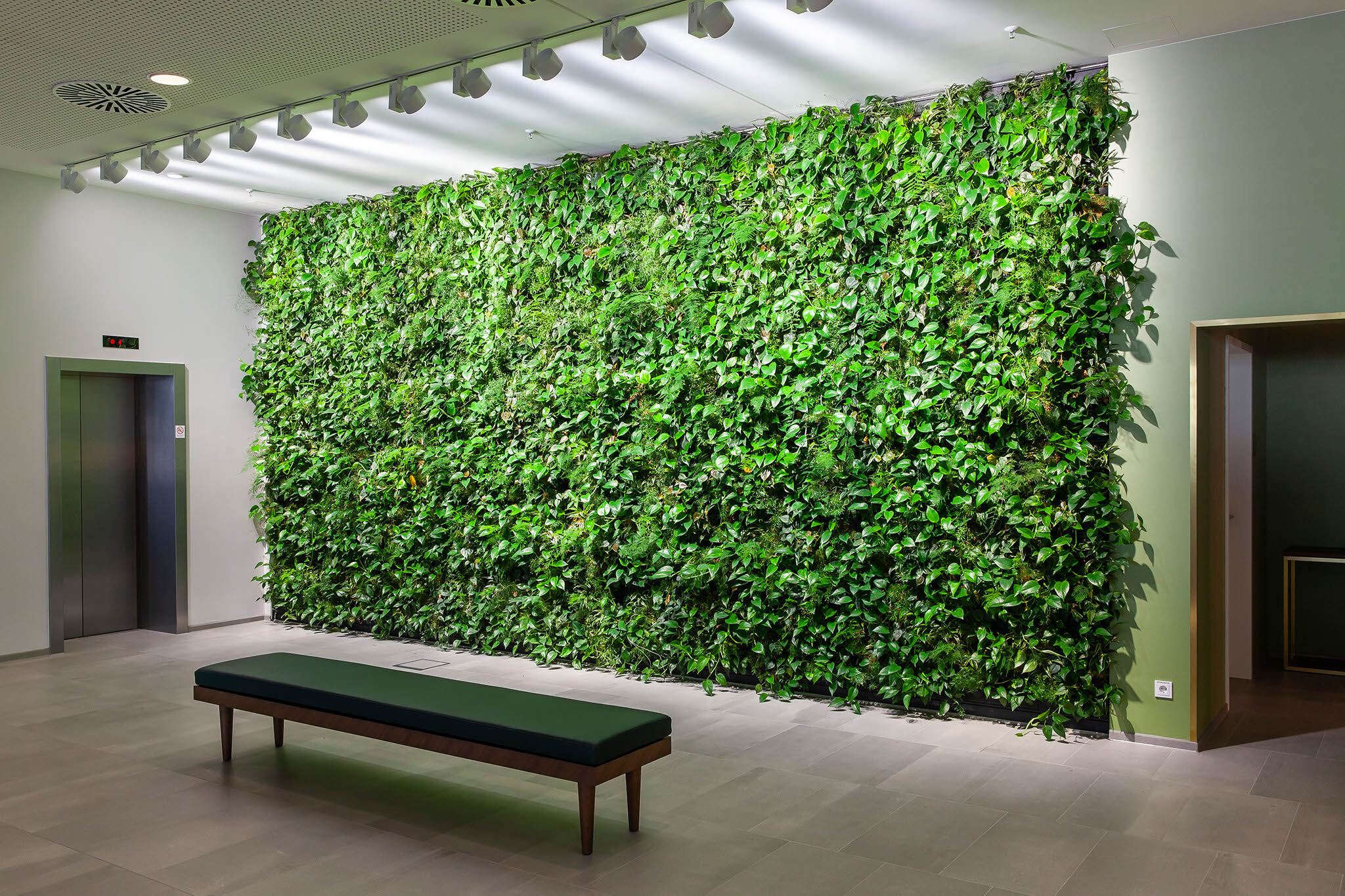 How do living green walls improve air quality?